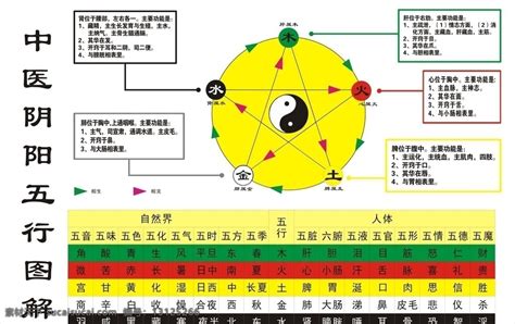 五行生活|五行（中医术语）